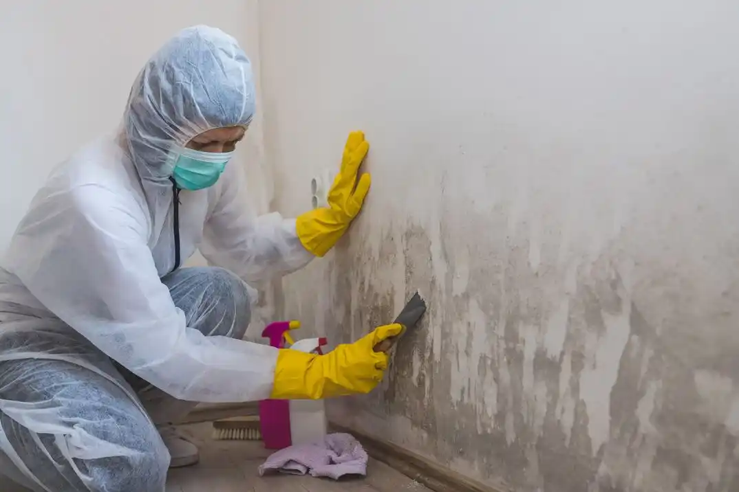 water damage restoration service Hampton
